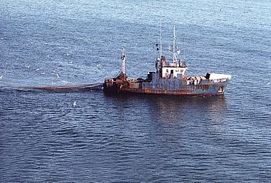 Fiskebåt Wla 299