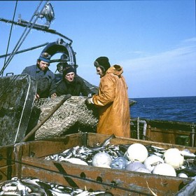Fiskare arbete, Wla 307