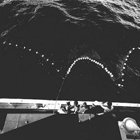 Redes del pescador, pescando