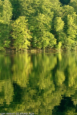 Fotografia jeziora. Odbicie w wodzie
