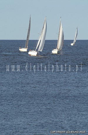 Imagens dos Yachts - Regatta