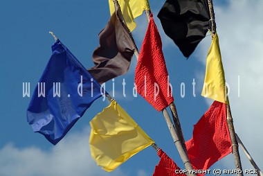 Foto's: Kleurrijke vlaggen