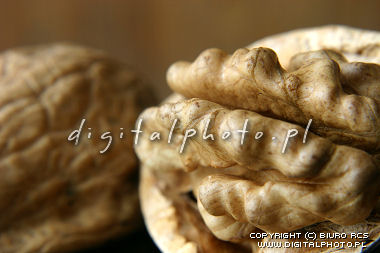 Images of walnuts