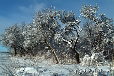 Inverno - paisagens