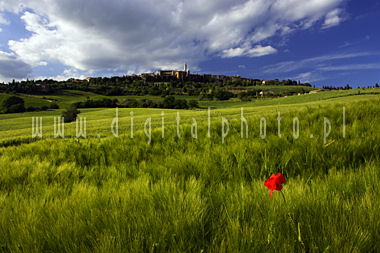 Landskap av Toscanii