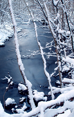 Vinter landskap, vinter flod