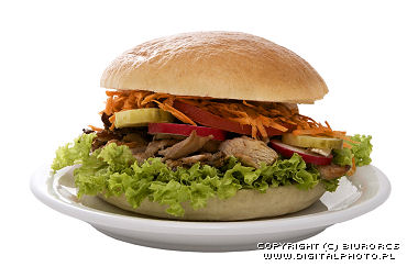 Hamburger, alimento rpido