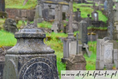 Cementerio catlico, antiguo cementerio