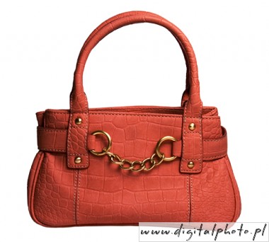Fashionable, ladies' handbag