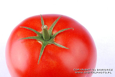 Rd tomat