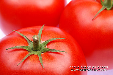 Pomidory, fotografia reklamowa