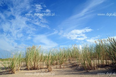 Summer landscapes, summer at the beach