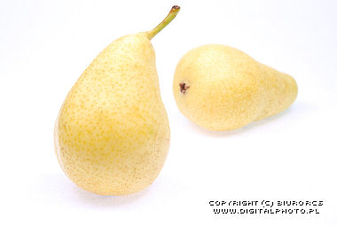 Pear, photo of pears