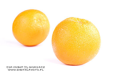 Sinaasappel , portret van sinaasappel