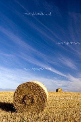 Hay bales photos, harvest pictures