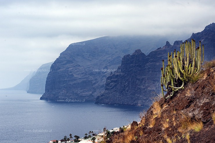 Los Gigantes kliffen, Tenerife