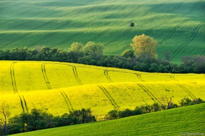 Landscapes in South Moravia, Czechia