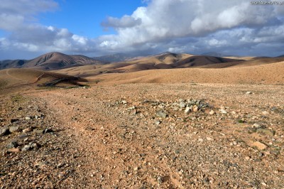 Krajobrazy, natura, gry - Fuerteventura