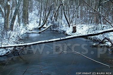 Naturen bilder, vinter