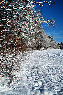 Vinter fotografi