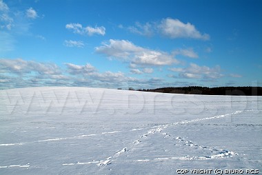 Zimowe krajobrazy - nieg na polach