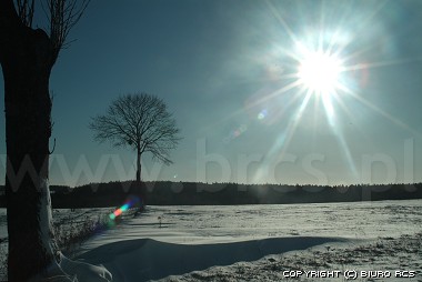 Bilder av vinter landskap