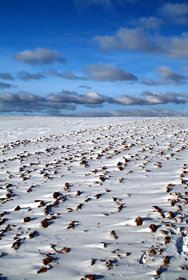 Krajobrazy zimowe - nieg na polu