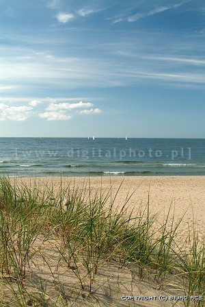 Beach picture