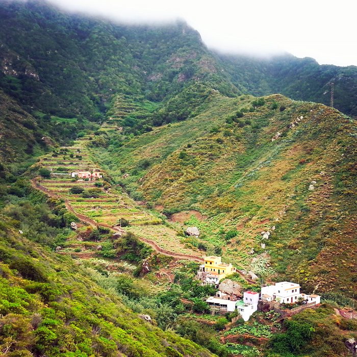 Terraced fields, Tenerife