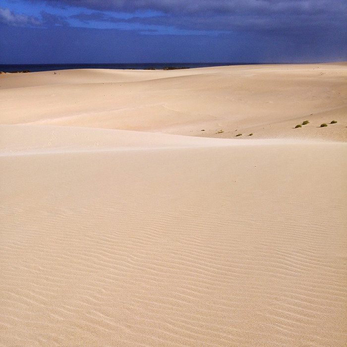 Walk through the dunes