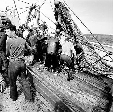 Fiskare svartvit fotografi