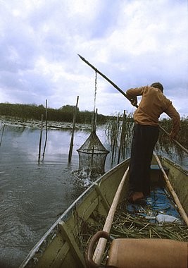 Pescador, redes