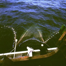 Redes de pesca, pescador