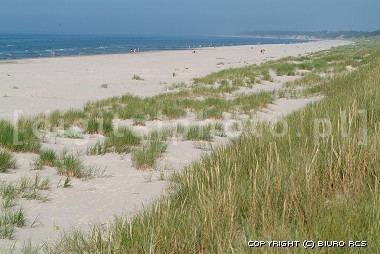 Cuadro de la naturaleza: Playa