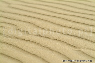 Föreställa av en sand