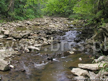 Potok Nasiczański - Bieszczady