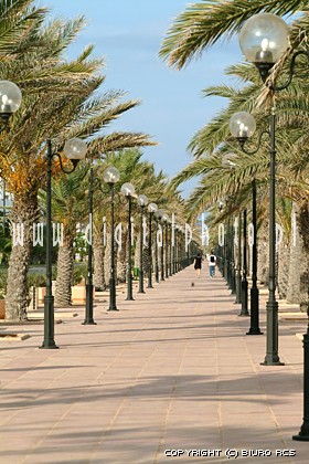 Hammamet Tunisie