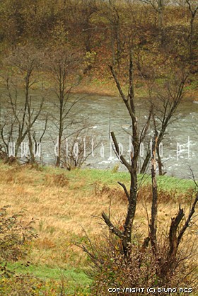 Jesień w Bieszczadach - potok Wetlina
