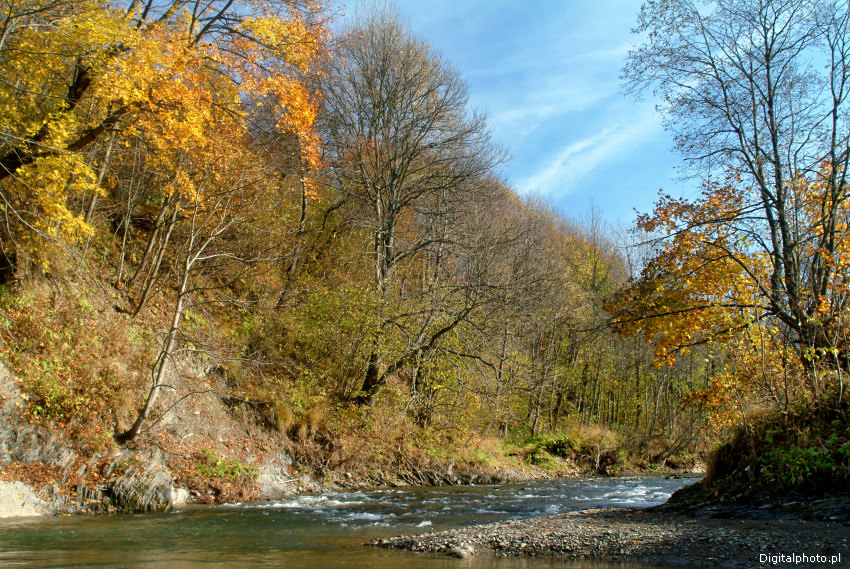 Wetlinka  jesienią, potok w Bieszczadach, dolina rzeki