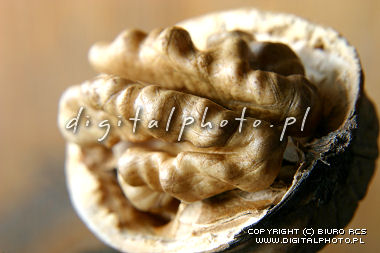 Billede i walnuts