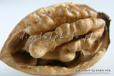 Walnuts pictures