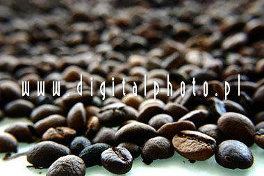 Ziarna kawy (bardzo mała głębia ostrości)