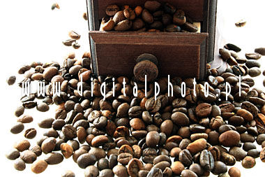 Beans of coffee photos