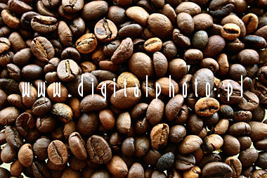 Café, granos del café