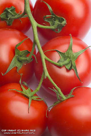 Zdjęcia warzyw: Pomidory