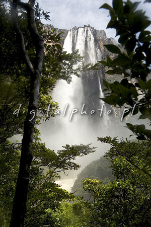 Anjo de Salto - as cachoeiras as mais elevadas do mundo (quedas do anjo)