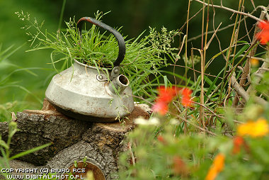 Abstraction, Kettle in garden