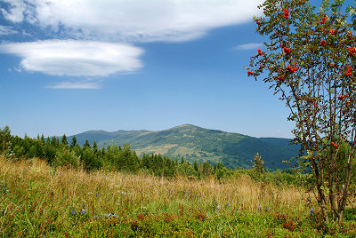 Połonina Wetlińska - widok ze stoku Rawki