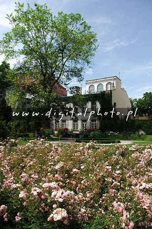 Fotos de Cracow. Casa de Jozef Mehoffer