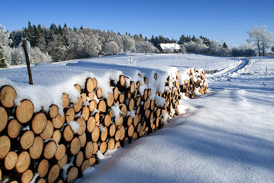 Winter Bild, Weiß Landschaft